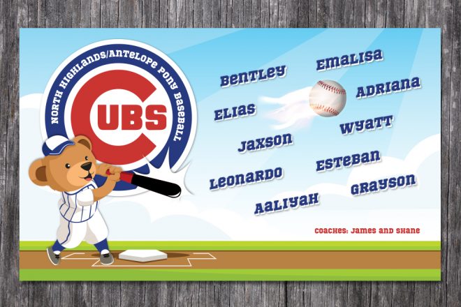 Cubs Baseball Team Banner