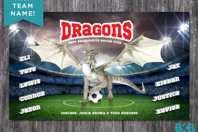 Vinyl Soccer Team Banner, Dragons