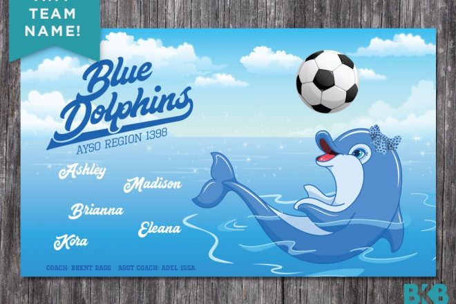 Vinyl Soccer Team Banner, Dolphins