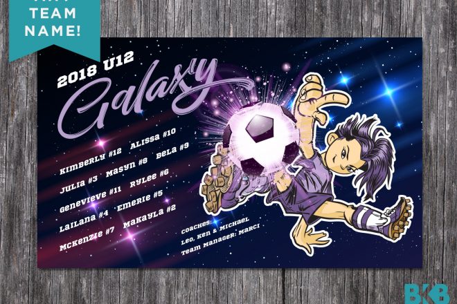 Vinyl Soccer Team Banner, Galaxy