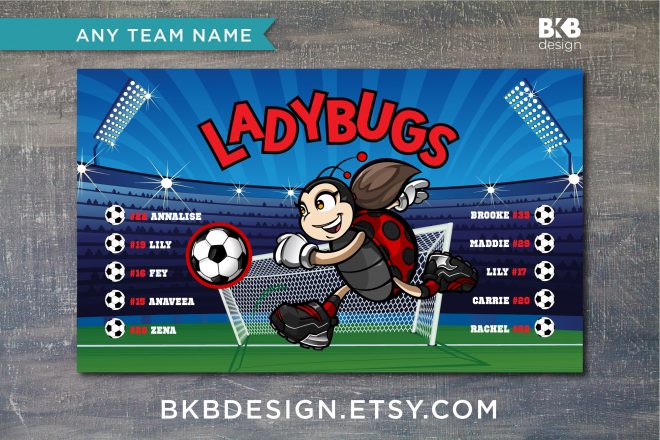 Vinyl Soccer Banner, Ladybugs
