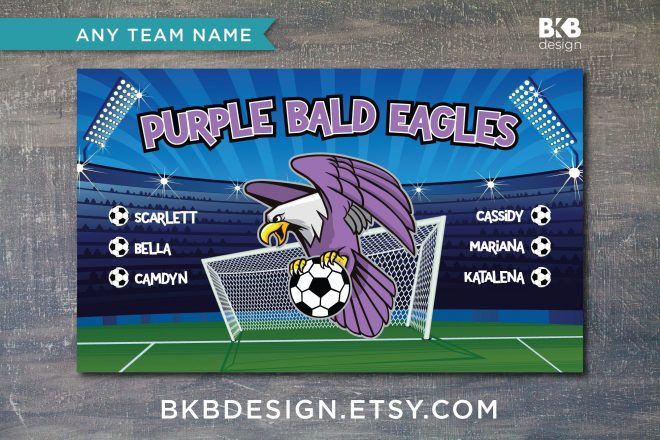 Vinyl Soccer Team Banner, Eagles