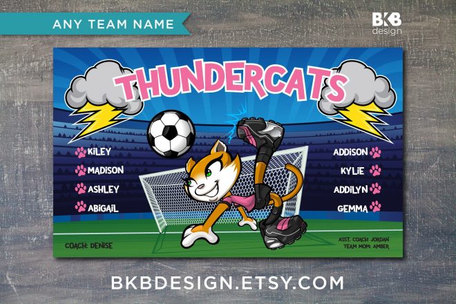 Vinyl Soccer Banner, Thundercats