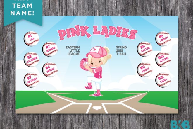 Pink Ladies – Softball Banner